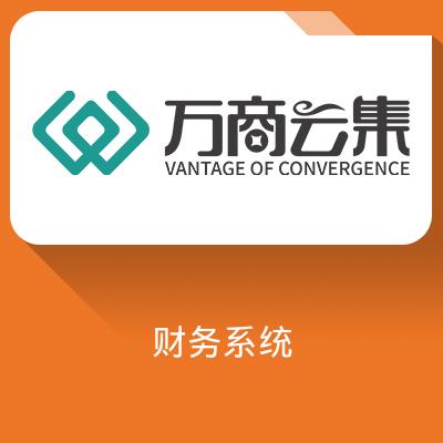 极财务V3财务软件-专业化的财务管理解决方案