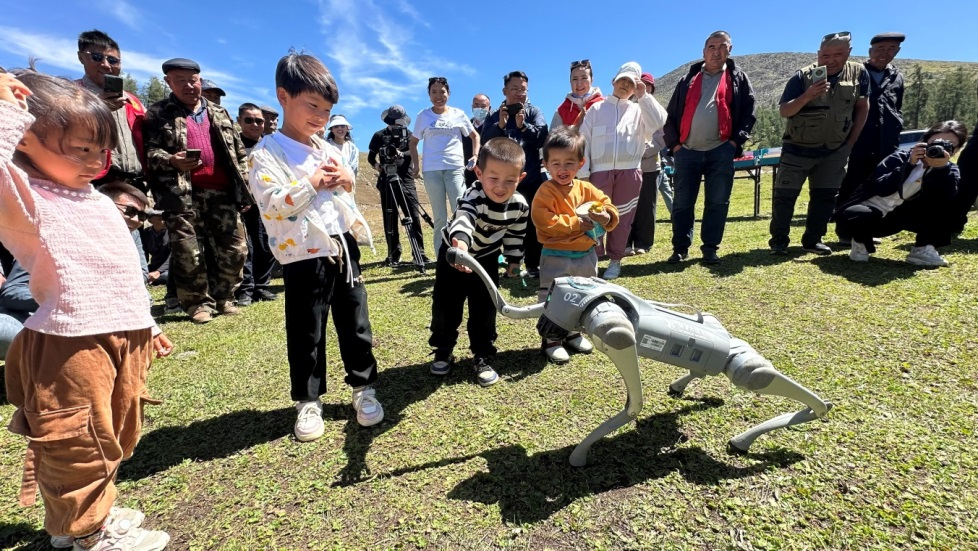 暑期学校项目是什么