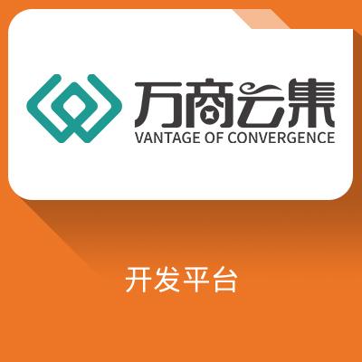 龙微分销开发平台软件