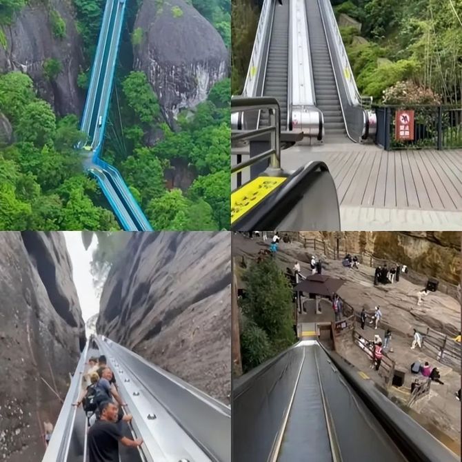 Vista氢商业, 「窝囊旅游三件套」，拯救多少打工人？