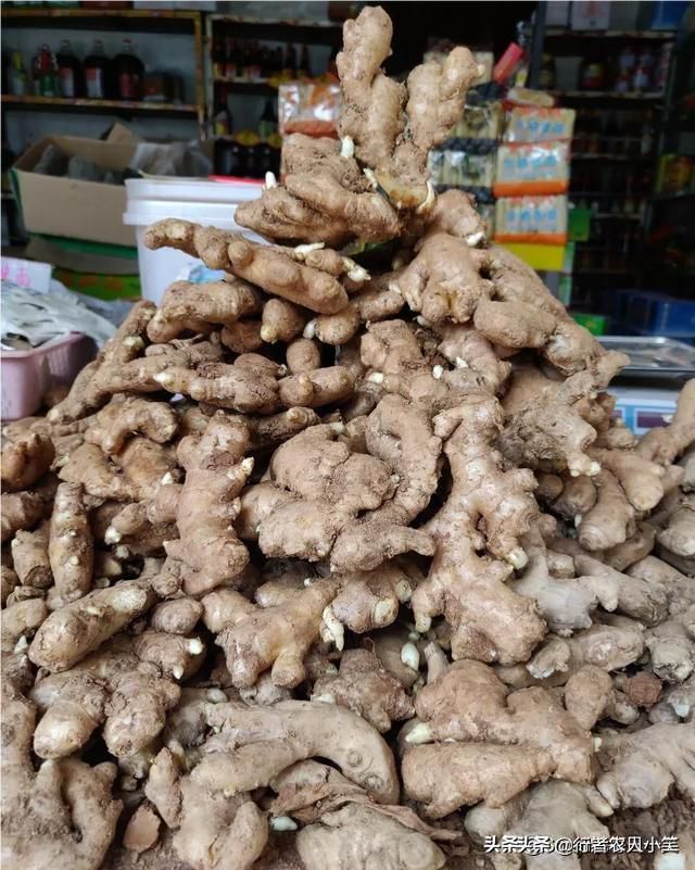 自家小作坊项目有哪些