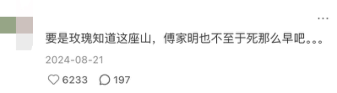 Vista氢商业, 「窝囊旅游三件套」，拯救多少打工人？