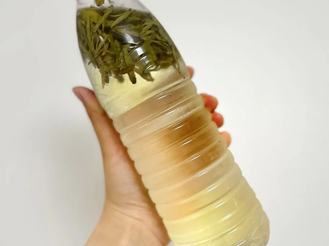 低成本自制饮品
