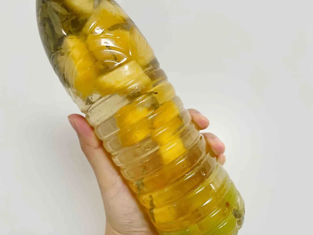 低成本自制饮品