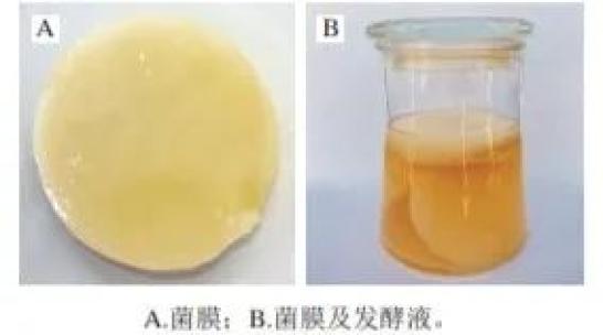 低成本自制饮品
