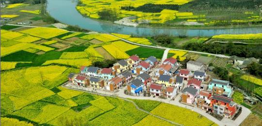 农村人的钱这么好赚