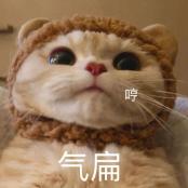 如何成为心灵疗愈师