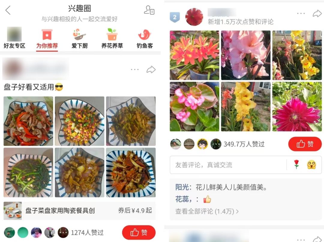 老年人十大兴趣