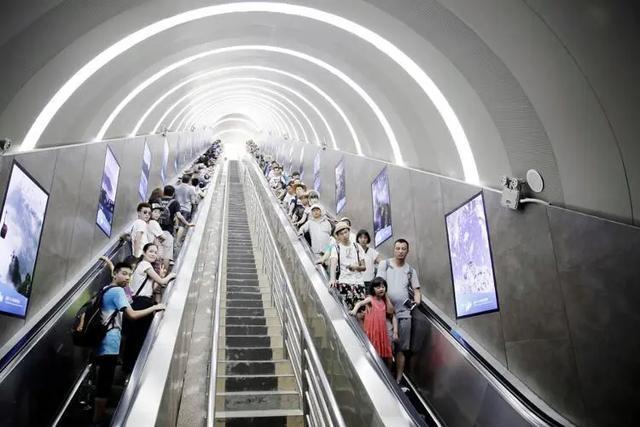窝囊旅游三件套