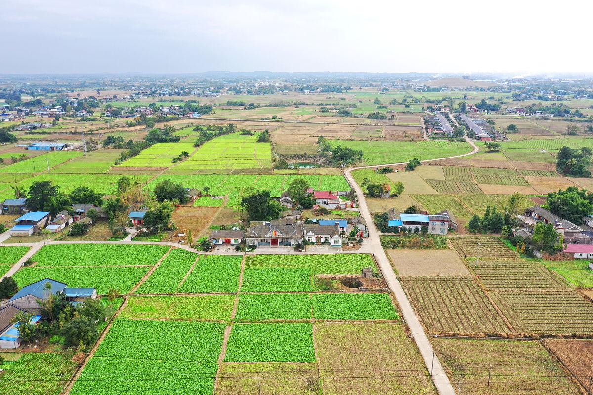 农村人的钱这么好赚