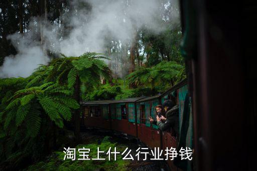 淘宝上什么行业挣钱