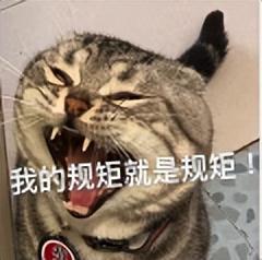 新能源汽车国补最新政策