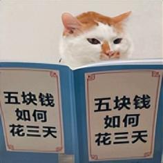新能源汽车国补最新政策