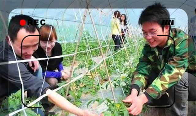 农村不起眼的商机