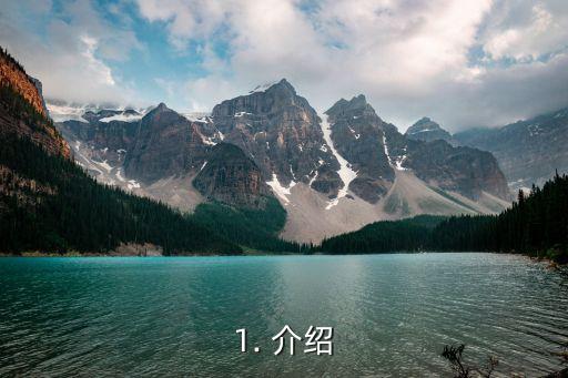 1. 介绍