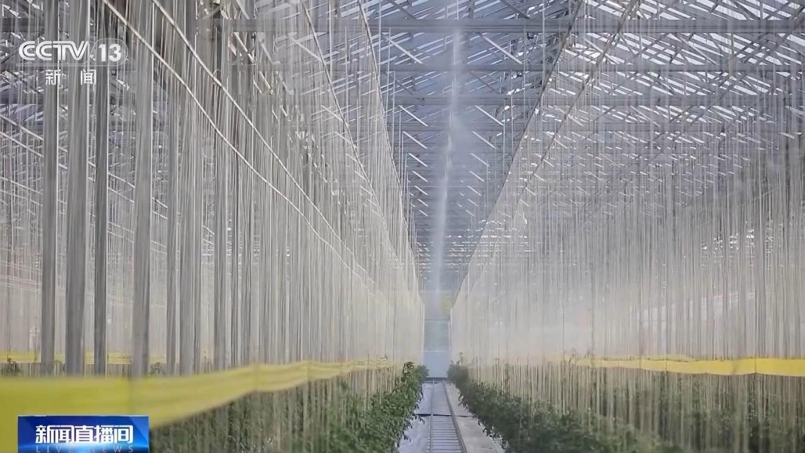水在科技的应用