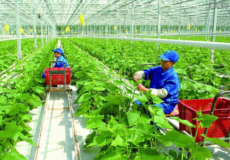 农村人的钱这么好赚