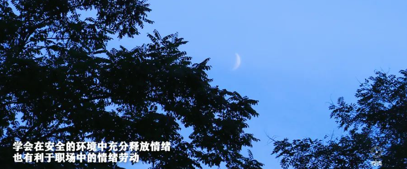 情绪劳动有哪些