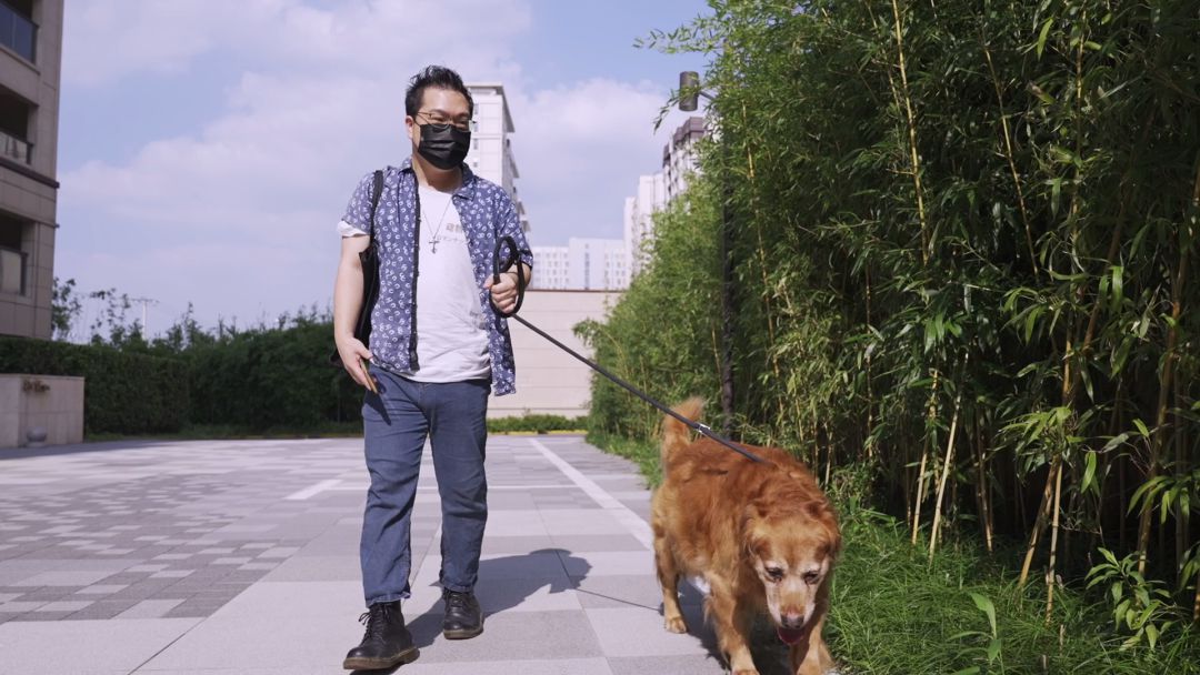 伴宠师需要资格证吗