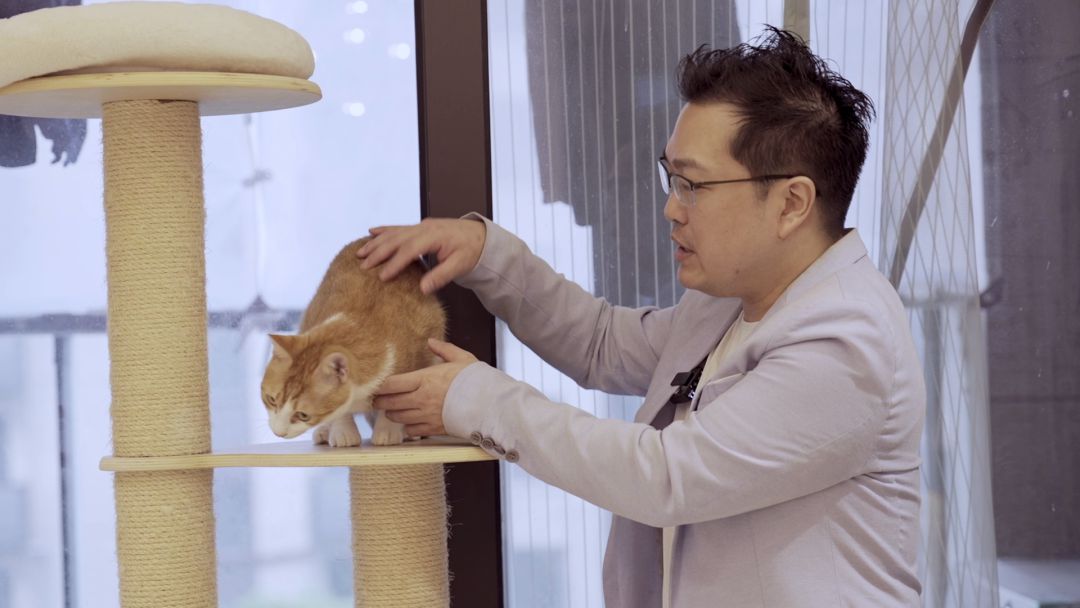 伴宠师需要资格证吗