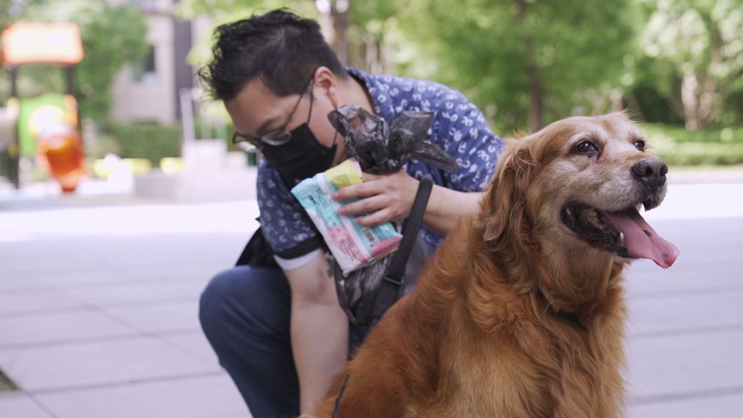 伴宠师需要资格证吗