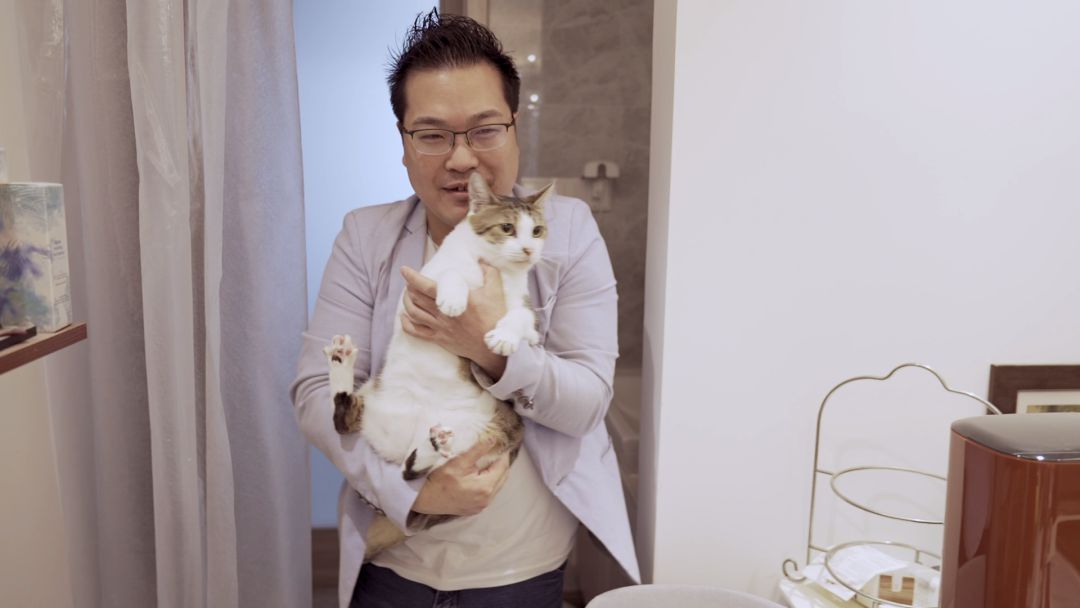 伴宠师需要资格证吗