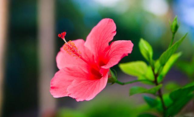 社交断舍离的六个方法