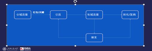 新品即爆品