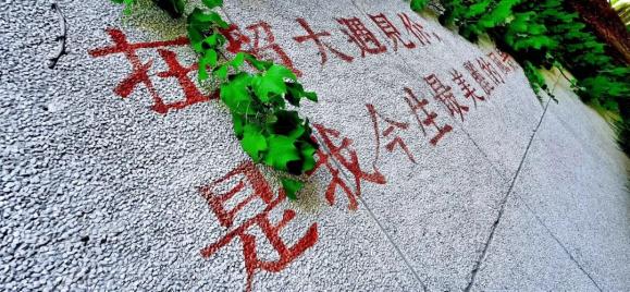 考研咨询
