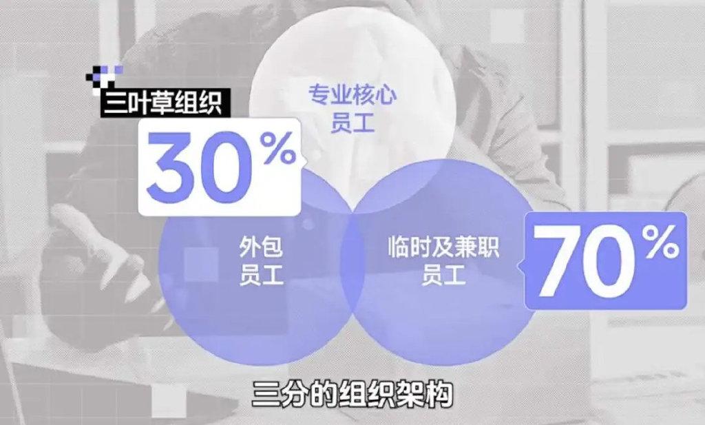 2025 就业风向突变
