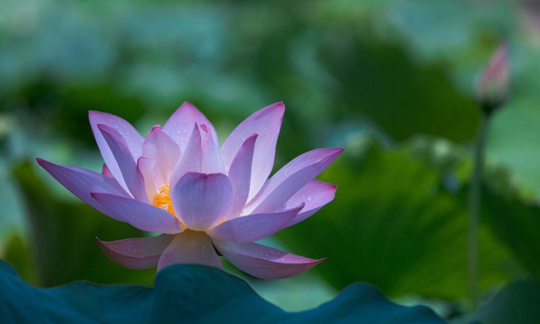 社交断舍离的六个方法