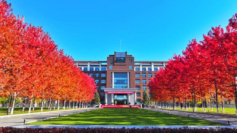 AI大模型技术指导