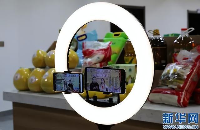 职业伴宠师 职业伴宠师