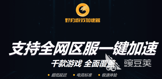 加速器哪个好用