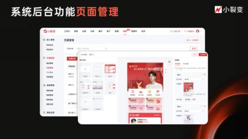 微信推客带货模式