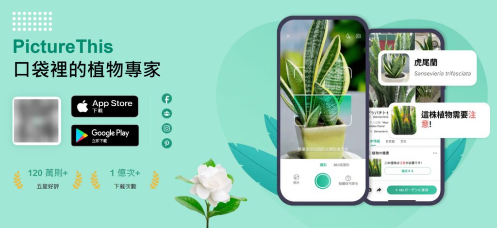 ai创业一人公司