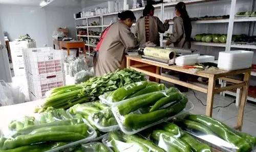 致富实用技术大全
