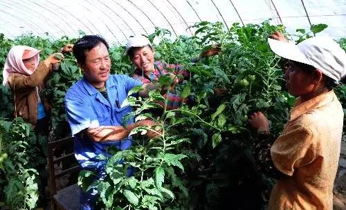 致富实用技术大全