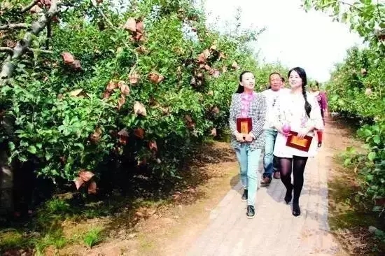 致富实用技术大全
