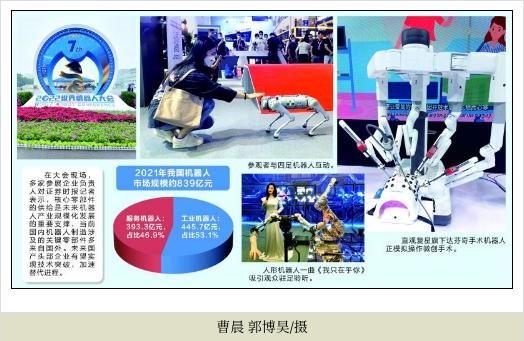 人形机器人陪护