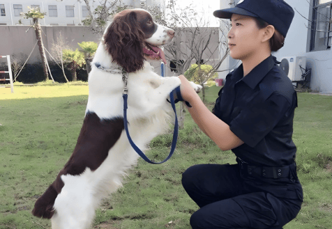 伴宠师需要资格证吗