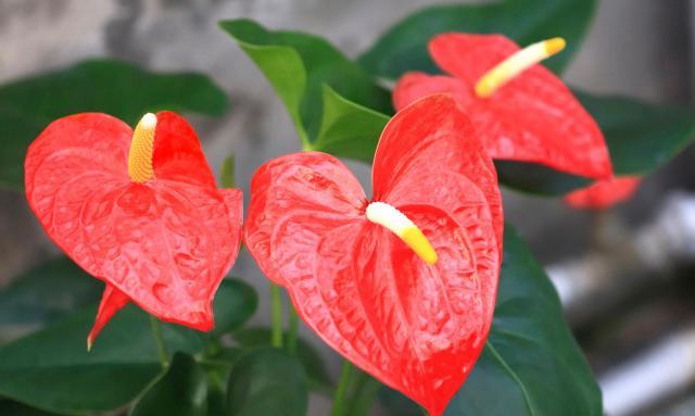 社交断舍离的六个方法