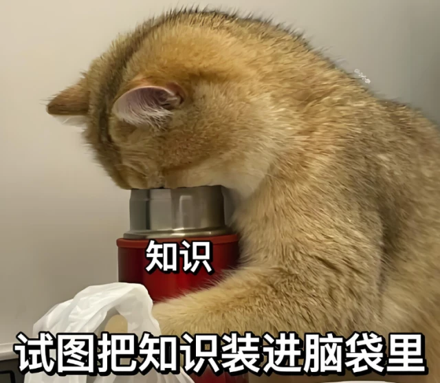 十大公认最好的防晒衣