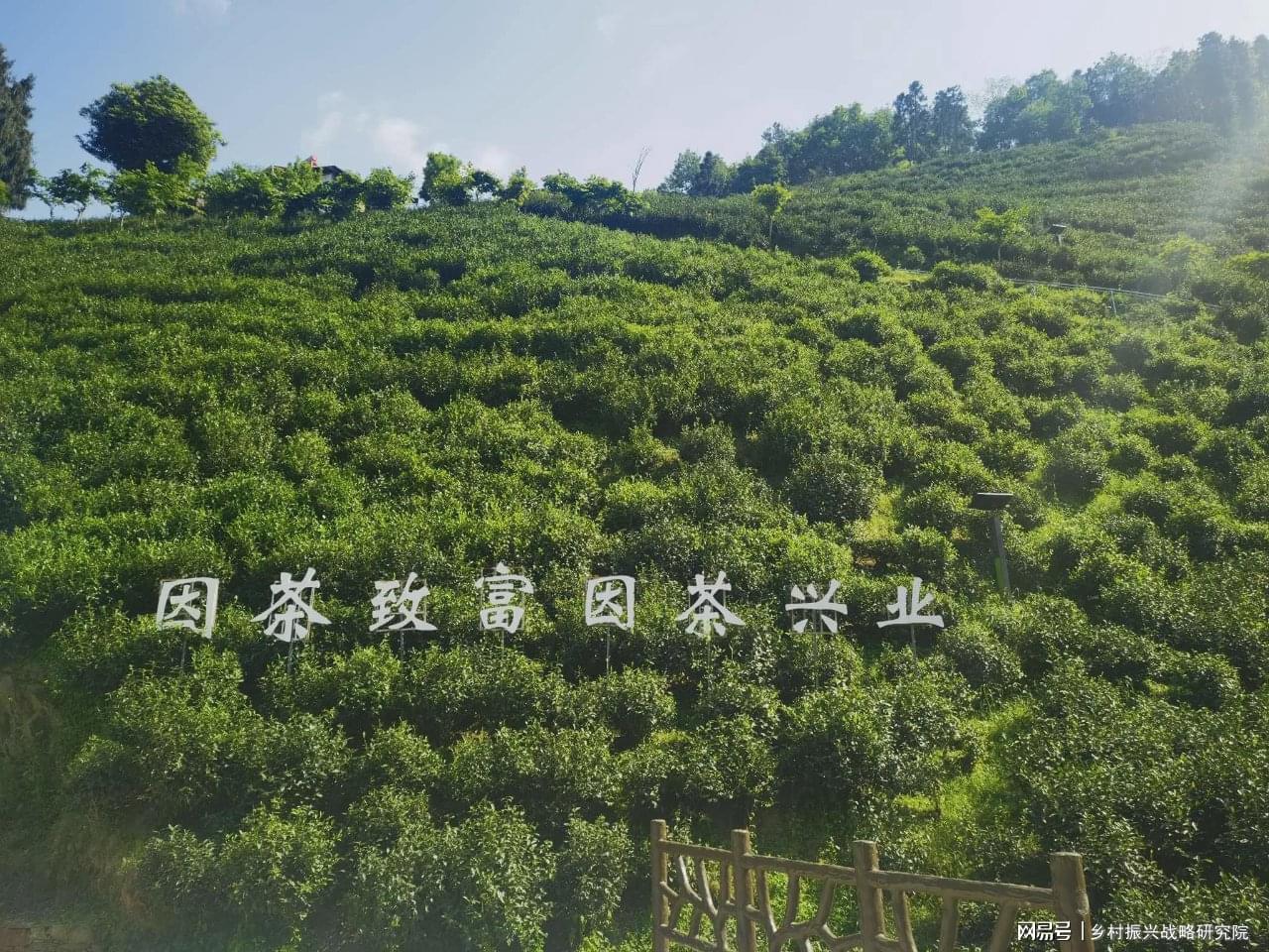 县域经济下的作坊式经营