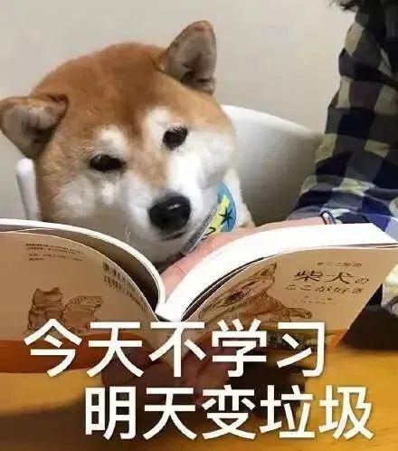 考研咨询