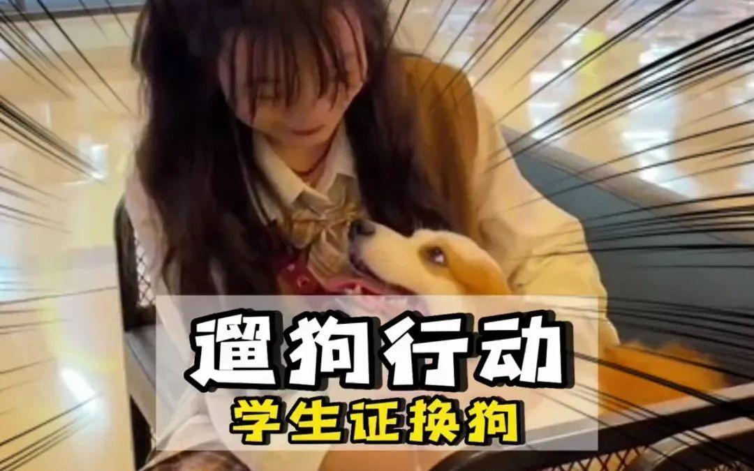 伴宠师需要资格证吗