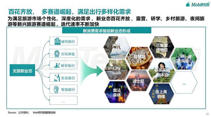 入境旅游市场的现状