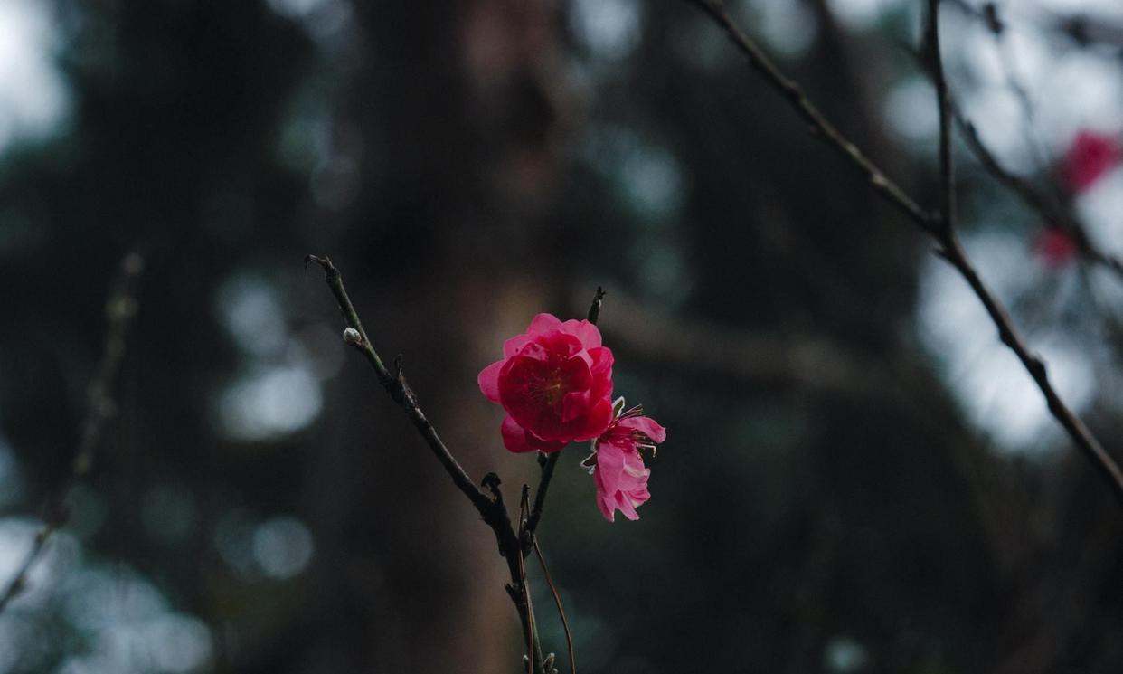 社交断舍离的六个方法