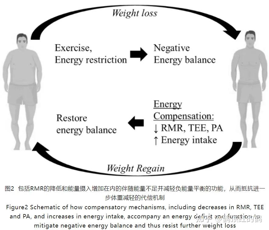 没时间做饭代餐推荐