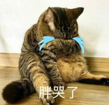 塑形最好的运动是什么